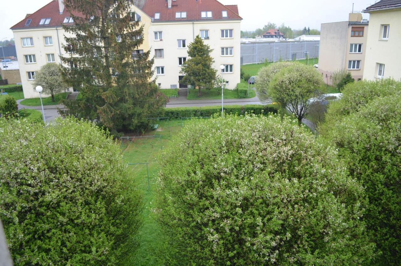 Room In Třeboň Екстериор снимка